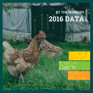 Organic Agriculture By the Numbers (2016 Data)
