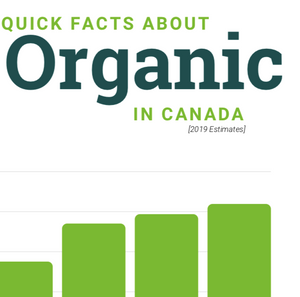 Quick Fact Data Sheet 2019 - English