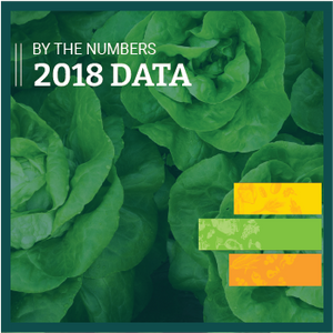 Organic Agriculture by the Numbers (2018 Data)