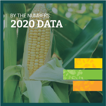 Organic Agriculture by the Numbers (2020 Data)
