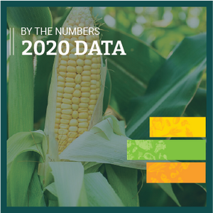 Organic Agriculture by the Numbers (2020 Data)